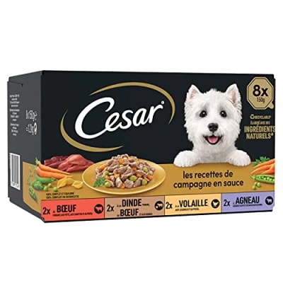 Immagine di CESAR Pasto per cani 24 vassoi (set di 3 confezioni 8 x 150 g) Pasta in salsa manzo/pollo/agnello/tacchino Cibo completo ed equilibrato con ingredienti naturali
