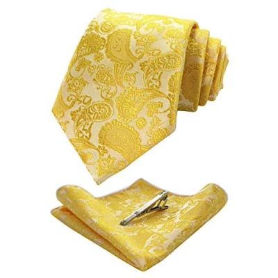 Immagine di JEMYGINS Cravatta Uomo Giallo2 in Seta Paisley Design Diversi Colori cena di gala con Fazzoletto e Fermacravatta