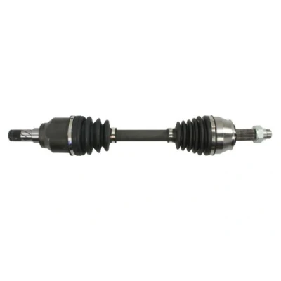Immagine di Albero motore/Semiasse PASCAL G2X039PC
