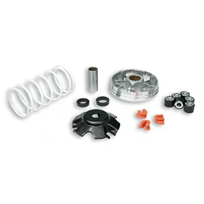 Immagine di Malossi 519019 VARIATORE MULTIVAR 2000 D.19 PIAGGI