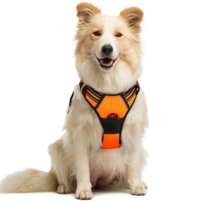 Immagine di rabbitgoo Pettorina Cane Taglia Media, ad h Regolabile con 2 Ganci in Metallo, per Cani Anti Tiro Riflettente, Imbracatura Traspirante Addestramento Corsa(M, Arancio)