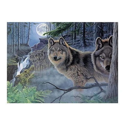Immagine di Pracht Creatives Hobby Royal &amp; Langnickel Pittura con i Numeri Lupi, Inclusi Colori e pennelli, per Adulti Bambini dagli 8 Anni in su, Multicolore, 4670 40261