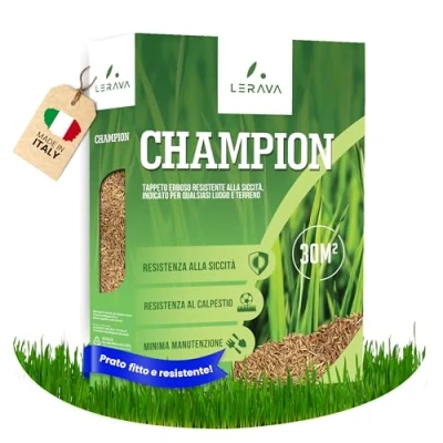 Immagine di LERAVA CHAMPION semi prato resistente sementi resistenti alla siccità seme poca acqua calpestabile adatti a tutti i luoghi e tipi di terreno 30m²
