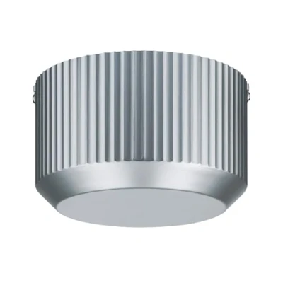 Immagine di Paulmann Toroidal 97932 Componente per sistema su filo a bassa tensione Trasformatore Cromo