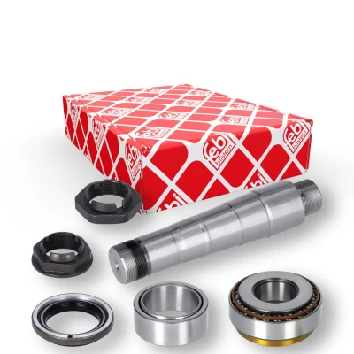 Immagine di FEBI BILSTEIN 40891 Kit riparazione, Perno fuso a snodo