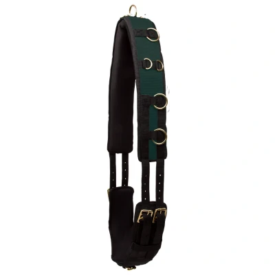 Immagine di Imperial Riding Lunging girth Deluxe Extra