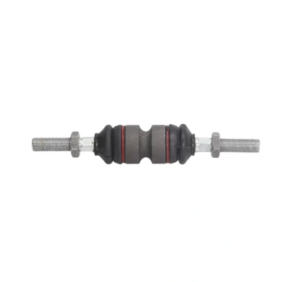 Immagine di SASIC 3008077 Snodo Assiale Assale anteriore PEUGEOT: 106 II Hatchback, I CITROËN: Saxo AX