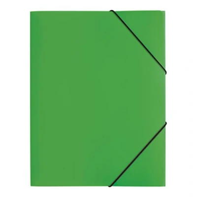 Immagine di Pagna 21613 05 cartellina con ELASTICO, formato A4, 3 lembi, Verde