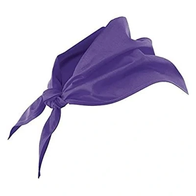 Immagine di Velilla 404003/C/TU Fazzolettone triangolare (moderno), 404003/C26/TU