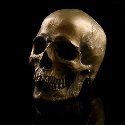 Immagine di VOANZO Modello anatomico di teschio umano in stile retrò resina 1:1