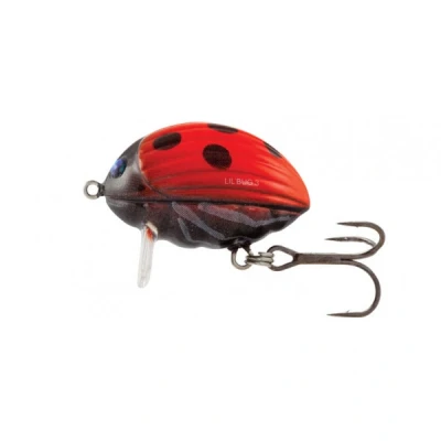 Immagine di Salmo Lil Bug Floating &#039;Ladybird&#039; 3cm (4,3g) Esche artificiali minnow