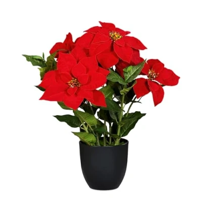 Immagine di Spetebo Stella di Natale artificiale in vaso nero, 55 cm, Fiore Poinsettia replica realistica Pianta decorativa seta con fiori vellutati