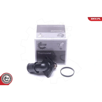 Immagine di ESEN SKV 20SKV166 Termostato, Refrigerante CITROËN: C3 I Hatchback