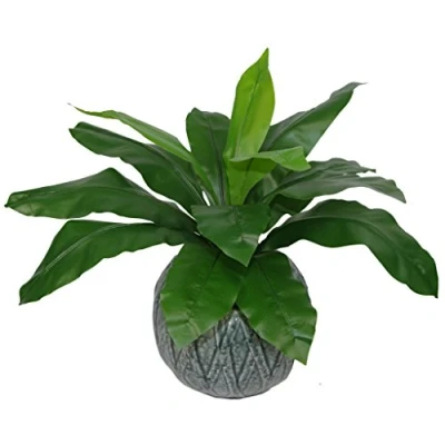 Immagine di Leaf Felce artificiale, nido di uccelli standard, 50 cm