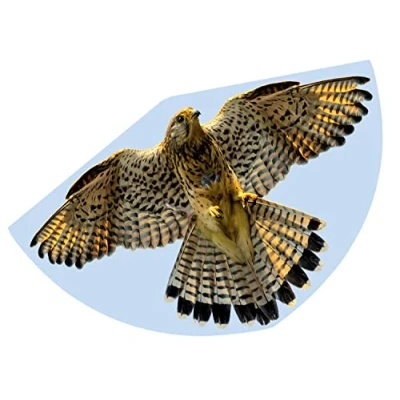Immagine di Günther Flugspiele Monofilo Aquilone statico FALKE Larghezza estensione (dettaglio) 920 mm Intensità del vento 3 6 bft