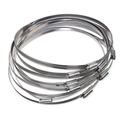 Immagine di Eclipse Professional Tools ECW1 13 W1 Confezione da 10 fascette stringitubo in acciaio zincato con vite senza fine 270 300 mm (10 ⅞&quot; 12&quot;)