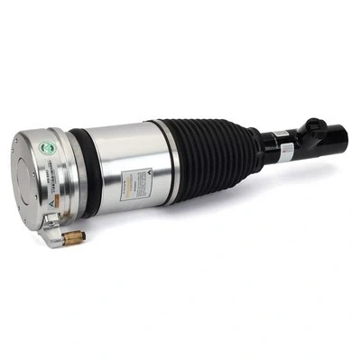 Immagine di Arnott AS 3343 Gamba elastica con ammortiz. pneumatico anteriore Dx