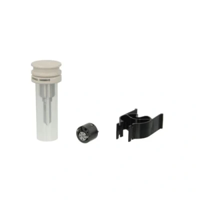 Immagine di DELPHI 7135 580 Kit riparazione, Iniettore