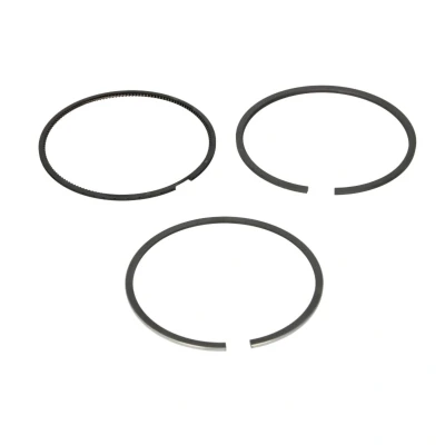Immagine di GOETZE ENGINE 08 432400 00 Kit Fasce Elastiche 81 LAND ROVER: Discovery 3