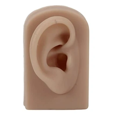 Immagine di Modello auricolare, Silicone morbido orecchio umano destro in gomma Orecchi per Gioielli, stampo reale artificiale, Visualizzazione dell&#039;orecchio Assistenza didattica(Marrone)