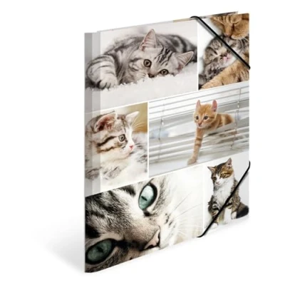 Immagine di HERMA 19212 Cartellina portadocumenti formato DIN A4, motivo: gatti, in cartone resistente, con stampa interna completa, elastici, per bambini e bambine