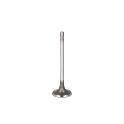 Immagine di FRECCIA R6713/SCR valvola Aspirazione 30,1 stelo cromato, Terminale temprato FORD: C Max 2, FIESTA 6, Focus 2 Kombi
