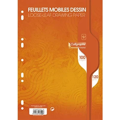 Immagine di Clairefontaine calligraphe 7000 7100 C pacchetto di 100 pagine Fogli Mobili perforate sotto Pellicola 120 g A4 bianco