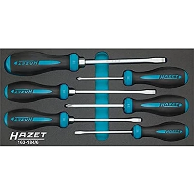 Immagine di HAZET 163 184/6 Kit cacciavite 6 Modulo utensili (inserto di schiuma poliuretanica morbida) HEXAnamic , Safety Insert System