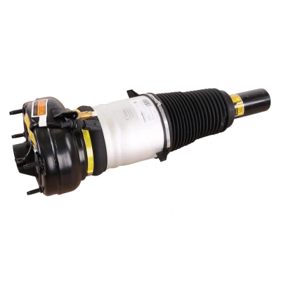 Immagine di VEMO V15 50 0003 1 Gamba elastica con ammortiz. pneumatico Assale anteriore