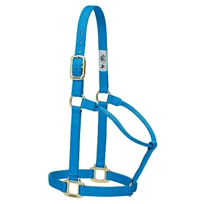Immagine di Weaver Leather Cavezza per Cavallo in Nylon Non Regolabile, Colore Blu uragano