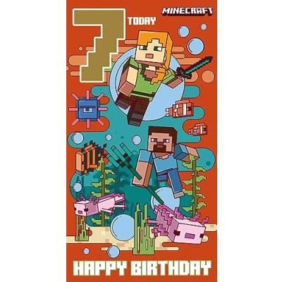 Immagine di Danilo Promotions Ltd MN004 Biglietto di compleanno Minecraft Age 7, multicolore