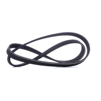 Immagine di RIDEX 305P0032 Cinghia Poly V 1030 5 EPDM (Etilene Propilene Diene Caucciù), Poliestere OPEL: Zafira B, Astra G Caravan, A