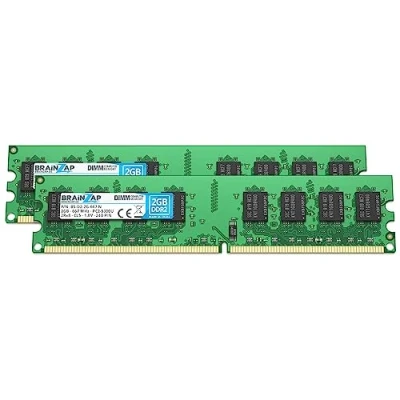 Immagine di BRAINZAP Memoria RAM da 4 GB DDR2 DIMM PC2 5300U 2Rx8 667 MHz 1,8 V CL5 PC (2 X 2 GB)