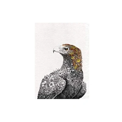 Immagine di Maxwell &amp; Williams Marini Ferlazzo Birds Strofinaccio da Cucina in Cotone Stampato con Aquila Codacuneata, Colore Nero / Bianco, 50 x 70 cm