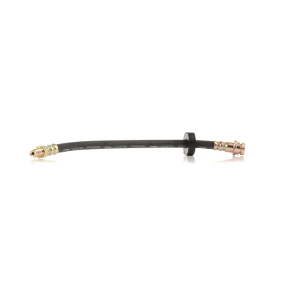 Immagine di AUTOMEGA 120006610 Tubi Freno 310mm M10x1 con filettatura esterna, interna FORD: MONDEO 3 Kombi