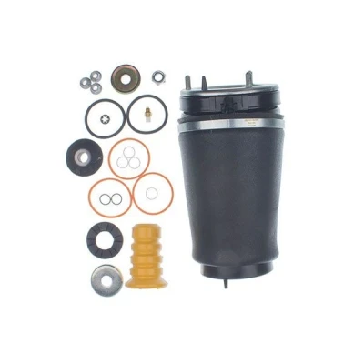 Immagine di DENCKERMANN DSA123G Molla pneumatica, Autotelaio Assale anteriore Sx LAND ROVER: Range Rover 3
