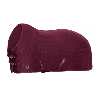 Immagine di LeMieux Arika Clima Tek rug