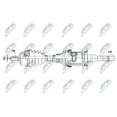 Immagine di Albero motore/Semiasse NTY NPW VV 165