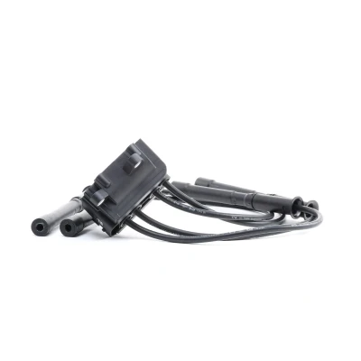 Immagine di NGK 48007 Bobina d&#039;accensione 4 RENAULT: CLIO 2, Kangoo I, TWINGO 1