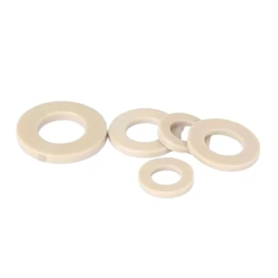 Immagine di Aqxypas Materiale PEEK Dadi esagonali Rondella piatta M2 M2.5 M3 M4 M5 M6 M8 M10 M12 M14 M16 M18 M20(M10 washer 5PCS)
