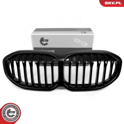 Immagine di ESEN SKV 66SKV024 Griglia Radiatore nero, lucente centro modello semplice BMW: 1 Hatchback (F40) 118 i, 116 d, 120 d xDrive, M 135 i xDrive