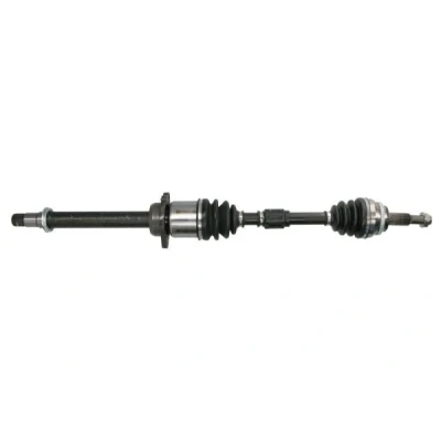 Immagine di Albero motore/Semiasse PASCAL G22002PC