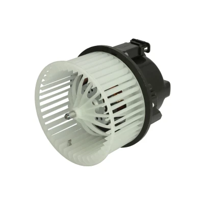 Immagine di Soffiante interna THERMOTEC DDV007TT