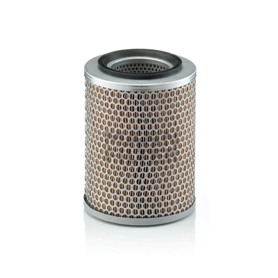 Immagine di MANN FILTER C 17 134 filtro aria 210 165 Cartuccia