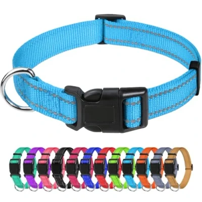 Immagine di TagME Collare per Cani in Nylon Riflettente, Fibbia Staccabile Durevole, Collari Di Sicurezza Regolabili Piccola Taglia, Blu, Larghezza 2.0 cm