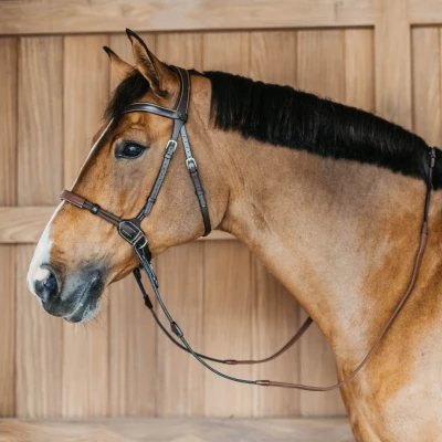 Immagine di Dyon Bitless Bridle Working Collection