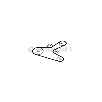 Immagine di CONTITECH 6PK1153K2 Kit cinghie Poly V PEUGEOT: 307 Station Wagon, Hatchback, SW, CITROËN: C4 I Hatchback