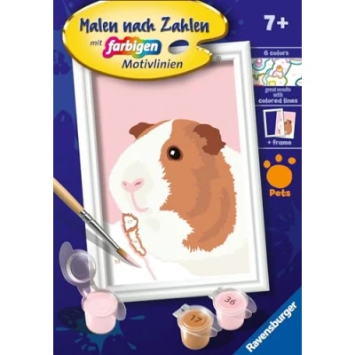 Immagine di Ravensburger Dipingere con i Numeri 23758 Carino porcellino d&#039;India, Bambini dai 7 Anni in su, Colore Bianco, Medio,