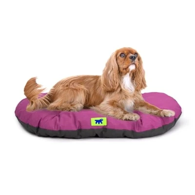 Immagine di Ferplast Cuccia Cane Relax, Cuscino per cani di taglia media, Gatto, Tappetino cucce e auto Lavabile in Cotone con Soffice Imbottitura, 78 x 50 m. Viola