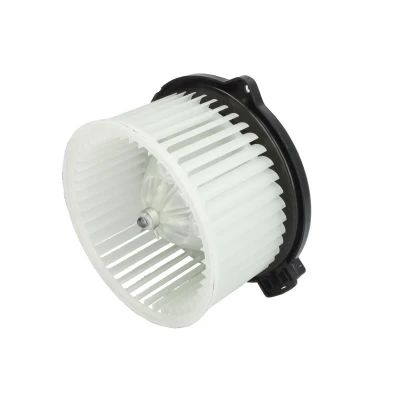 Immagine di Soffiante interna THERMOTEC DDM039TT